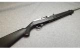 Ruger 10/22 in .22 LR - 1 of 7