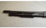 Winchester SXP in 12 Gauge - 6 of 7