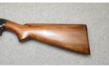 Winchester Model 12 in 16 Gauge - 7 of 7