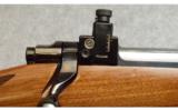 Ruger ~ M77 ~ .458 Winchester Magnum - 8 of 8