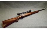 Ruger M77 in .243 Winchester - 1 of 9