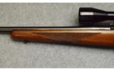 Ruger M77 in .243 Winchester - 7 of 9