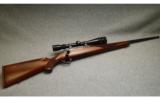 Remington M77 in 6 MM Remington - 1 of 9