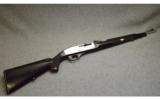 Remington Nylon 66 in .22 LR - 1 of 9