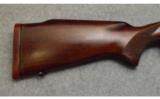 Winchester Model 70 in .375 H&H - 3 of 9