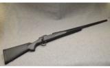 Remington
~ 700 ~ .22-250 Remington - 1 of 9