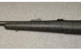 Remington ~ 700 ~ .416 Remington Magnum - 7 of 9
