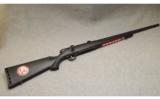 Savage ~ M-25 ~ .17 Hornet - 1 of 9