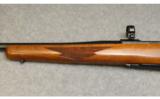 Ruger ~ M77 ~ 7MM Remington Magnum - 7 of 9