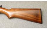 Winchester ~ 69 ~ .22 Long Rifle - 8 of 9