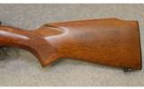 Winchester ~ Model 70 Varmint ~ .243 Win. - 9 of 9