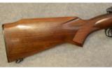 Winchester ~ Model 70 Varmint ~ .243 Win. - 2 of 9