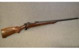 Winchester ~ Model 70 Varmint ~ .243 Win. - 1 of 9
