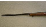 Winchester ~ Model 70 Varmint ~ .243 Win. - 7 of 9