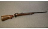 Winchester ~ Model 70 Varmint ~ .243 Win. - 1 of 9
