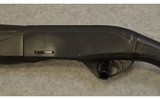 Armsan ~ Pointer ~ 12 Gauge - 8 of 10