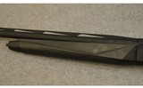 Armsan ~ Pointer ~ 12 Gauge - 6 of 10