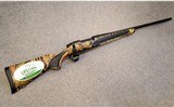 Remington ~ 700 ~ .300 Winchester Magnum - 1 of 10