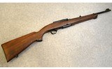 Winchester ~ Model 100 Carbine ~ .243 Winchester - 1 of 10