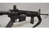 Bushmaster ~ XM15-E2S ~ 2.23 / 5.56 - 11 of 13