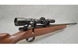 Kimber Of Oregon ~ 82 ~ 22 Long Rifle - 13 of 13