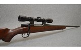 CZ ~ 550 ~ 270 Winchester - 7 of 12