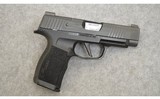 SIG Sauer ~ P365 XL ~ 9 MM Luger - 1 of 4
