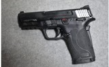 Smith & Wesson ~ M&P 9 Shield EZ ~ 9 MM Luger - 2 of 2