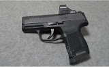 SIG Sauer ~ P365 ~ 380 ACP - 2 of 2
