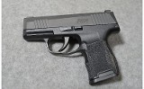 SIG Sauer ~ P365 ~9MM Luger - 2 of 2