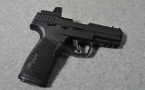SIG Sauer ~ P322 ~ 22 Long Rifle
