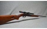 Remington ~ Speedmaster ~ 22 Long Rifle - 13 of 13