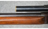 Remington ~ Speedmaster ~ 22 Long Rifle - 12 of 13