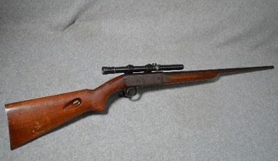 Remington ~ Speedmaster ~ 22 Long Rifle