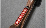 Savage Arms ~ 93 R 17 ~ 17 HMR - 6 of 13
