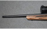 Savage Arms ~ 93 R 17 ~ 17 HMR - 10 of 13