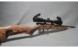 Savage Arms ~ 93 R 17 ~ 17 HMR - 13 of 13