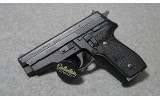 SIG Sauer ~ P229 ~ 357 SIG - 2 of 2
