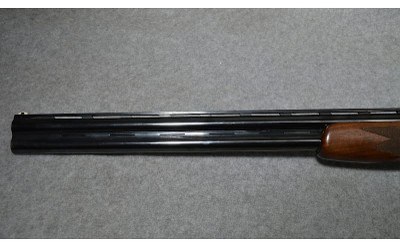 Lanber Armas ~ SXS ~ 12 Gauge - Image 10 of 11