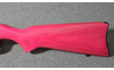 Ruger ~ 10/22 ~ 22 Long Rifle - Image 7 of 11