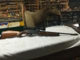 Savage Pump 35 Remington - 2 of 2