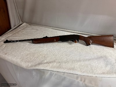 Remington 7400 Caliber .243