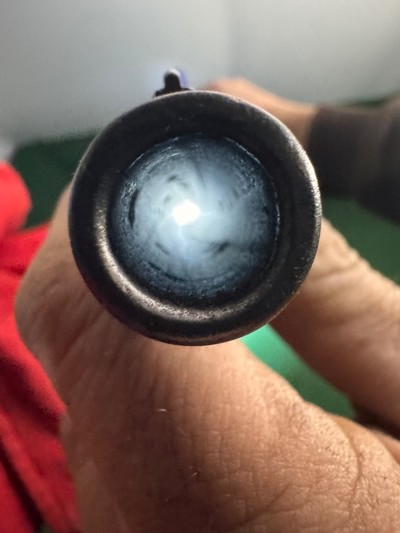 1873 Springfield Carbine - 22