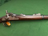 1873 Springfield Carbine - 22