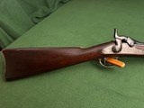 1873 Springfield Carbine - 22