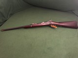 1873 Springfield Carbine - 22