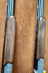 Rizzini Aurum 28ga 29