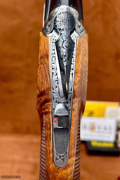 Rizzini BR220 20ga 29