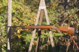 Pristine Sako Vixen .222 Remington Magnum Sporter - 2 of 13