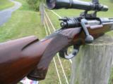 John Dubiel, Kornbrath Engraved Post Hoffman Era Mauser Actioned Rifle - 7 of 13